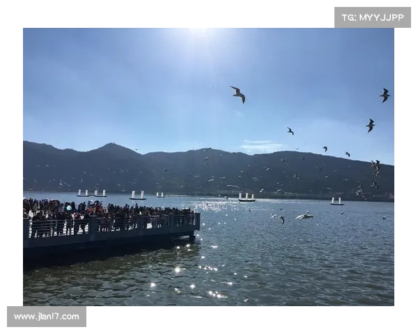 探秘鹤观岛的四大必游景点 让你流连忘返的自然与文化之旅 探秘鹤观岛的四大必游景点 让你流连忘返的自然与文化之旅
